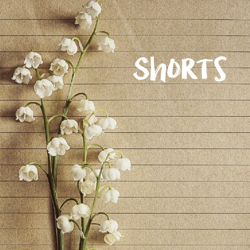 Shorts After Here